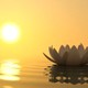 Mahamevma Bhavana Asapuwa