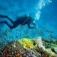 Boise Scuba Center - Your Scuba Diving Shop For Idaho