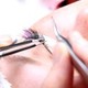 Flo Lashes