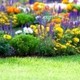 Texas Best Lawn Care & Landscape